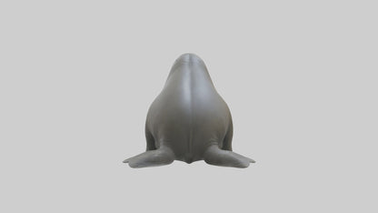Standing Elephant Seal Model VR / AR / low-poly