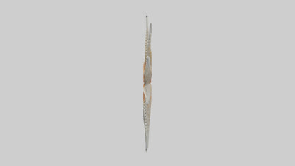 Starfish Skeleton model 3D model