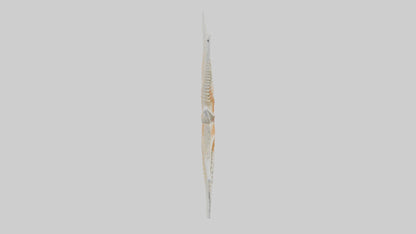 Starfish Skeleton model 3D model
