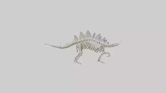 Stegosaurus Skeleton model 3D model
