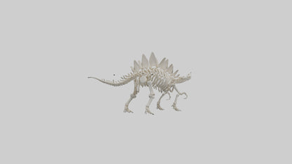 Stegosaurus Skeleton model 3D model