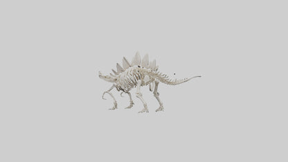 Stegosaurus Skeleton model 3D model