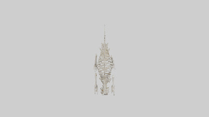 Stegosaurus Skeleton model 3D model