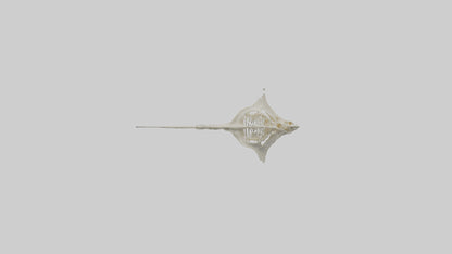 Stingray Skeleton model 3D model