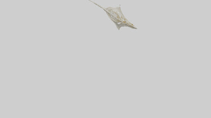 Stingray Skeleton model 3D model