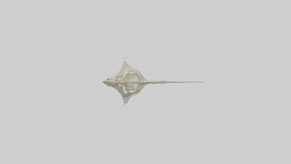 Stingray Skeleton model 3D model