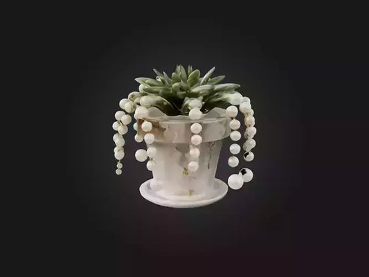3D model String of Pearls Model VR / AR / low-poly