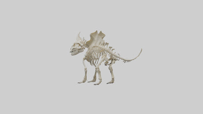 Styracosaurus Skeleton model 3D model