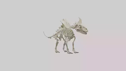 Styracosaurus Skeleton model 3D model