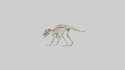 Suchomimus Skeleton model 3D model