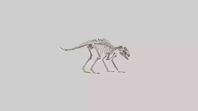 Suchomimus Skeleton model 3D model