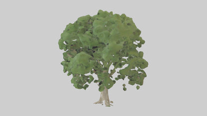 Sycamore tree model 3D model