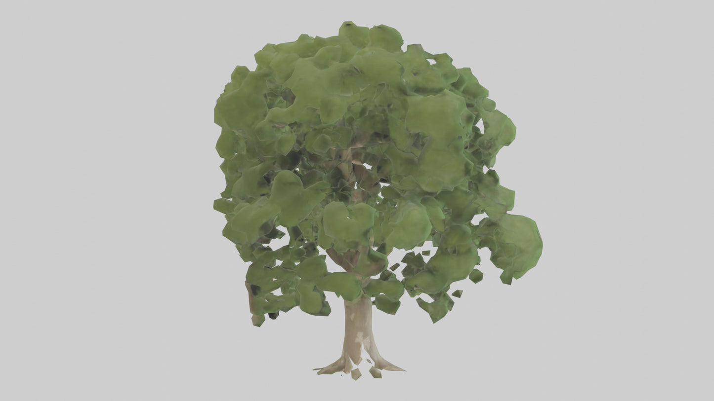 Sycamore tree model 3D model