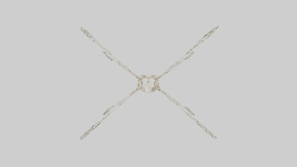 Tetrabrachion Skeleton model 3D model