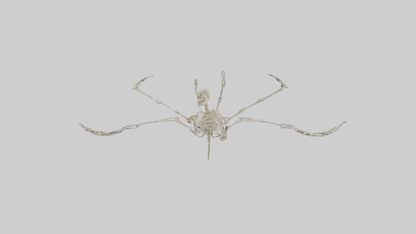 Tetrabrachion Skeleton model 3D model
