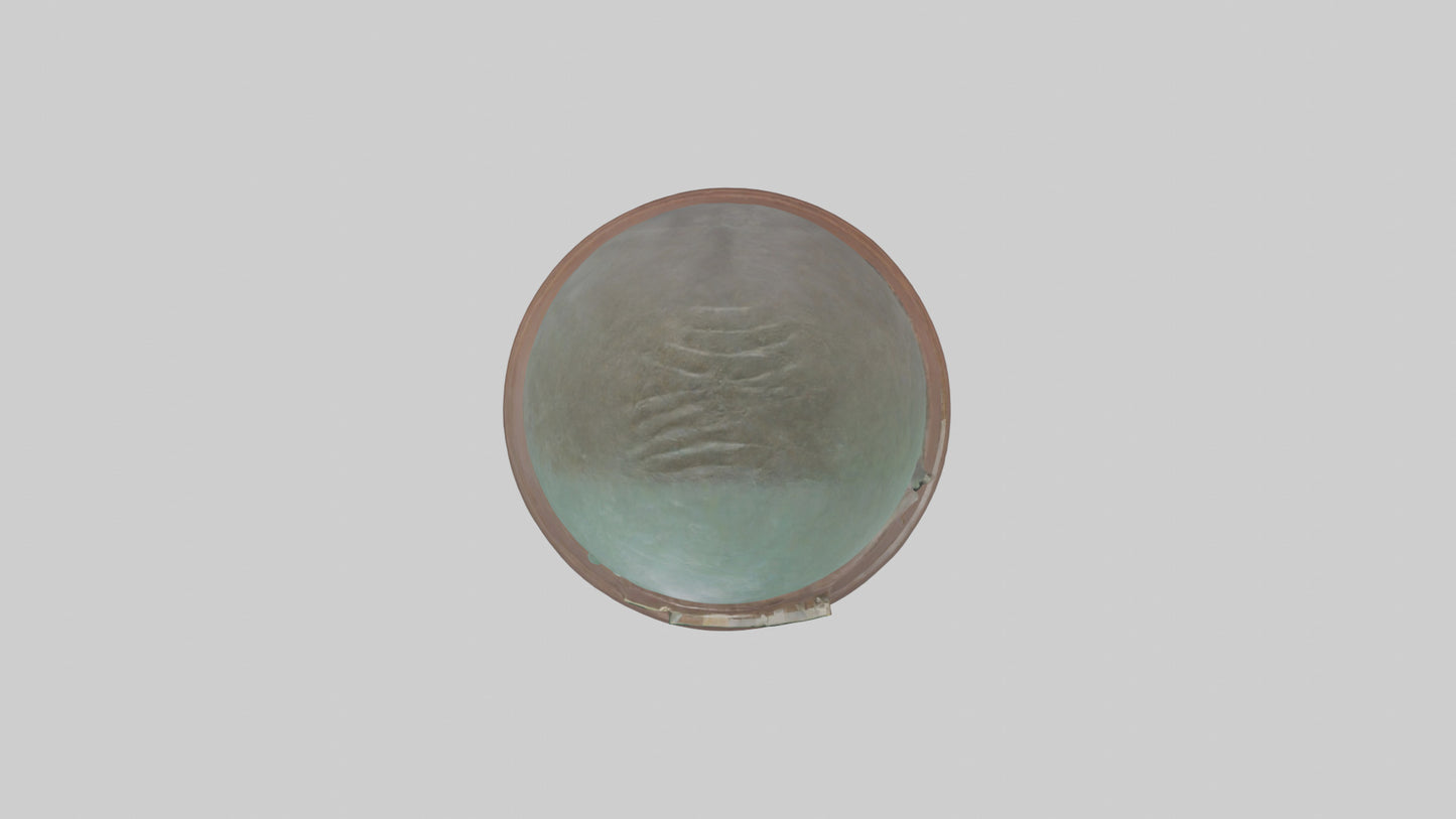 The Conservation Effort Statue model 3D model