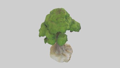 The Earth Tree Sculpture model 3D model