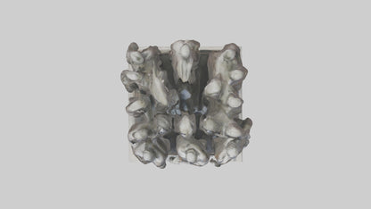 The Unity of Nations statue model 3D model