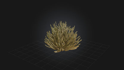 3D model Thorny Bush Model VR / AR / low-poly