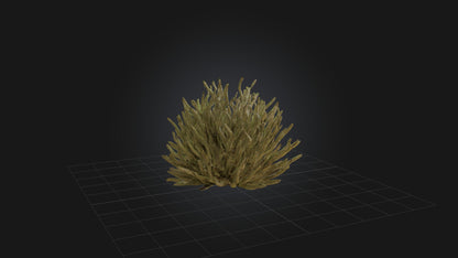 3D model Thorny Bush Model VR / AR / low-poly