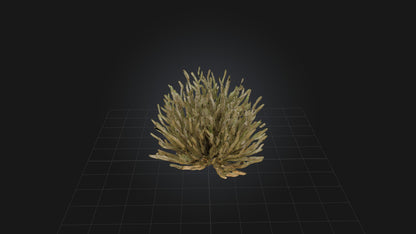 3D model Thorny Bush Model VR / AR / low-poly