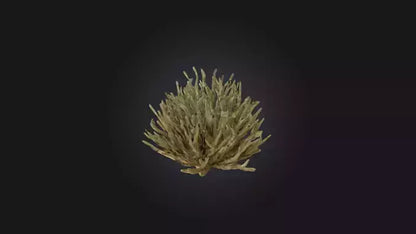 3D model Thorny Bush Model VR / AR / low-poly