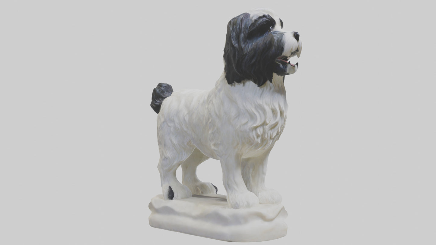 Tibetan Terrier statue model 3D model
