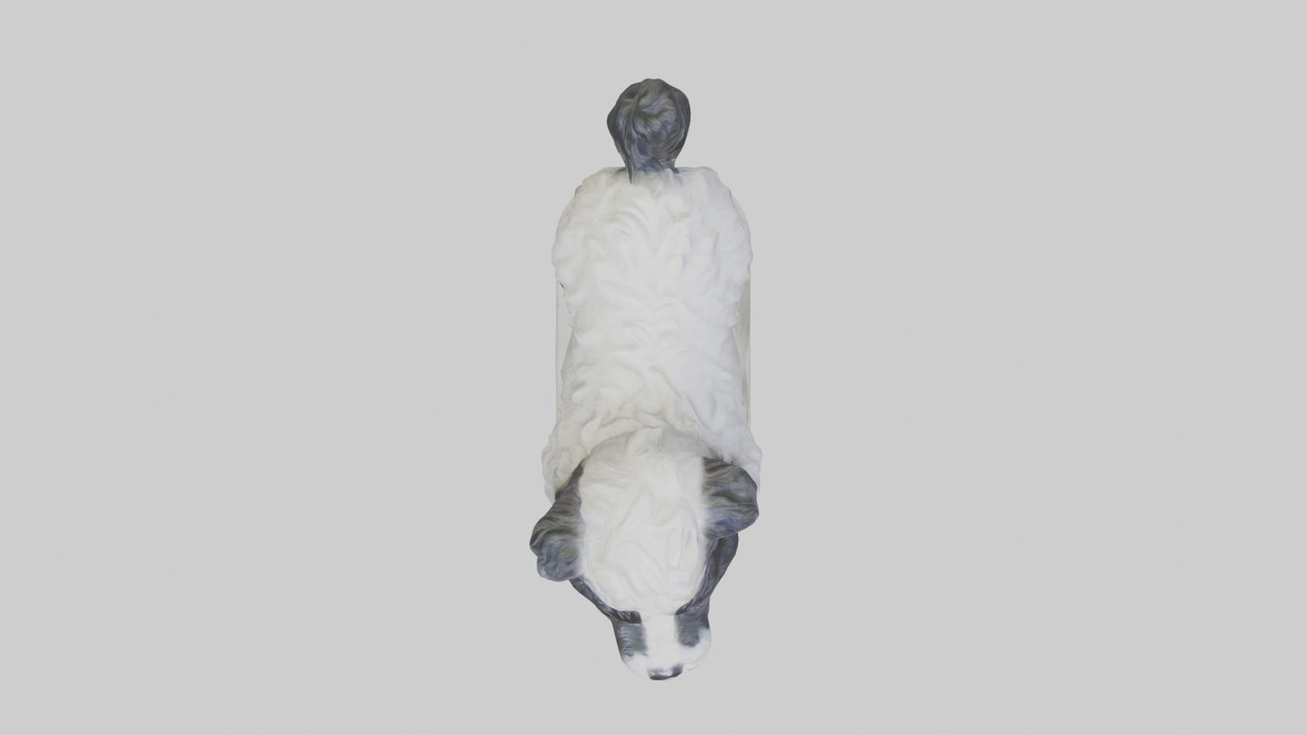 Tibetan Terrier statue model 3D model