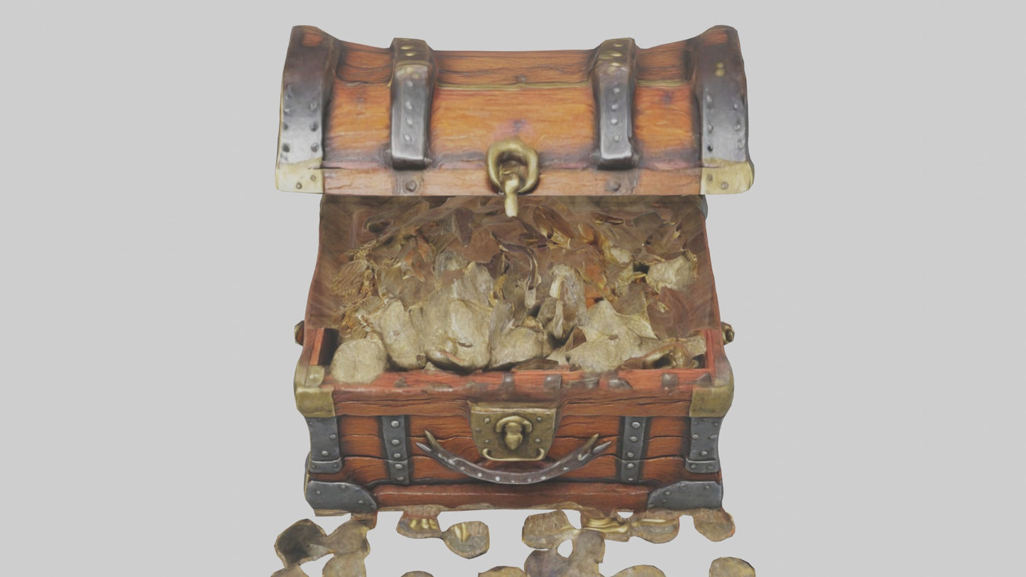 Treasure Chest Model 3D model
