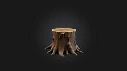 3D model Tree Stump Model VR / AR / low-poly