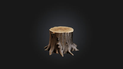 3D model Tree Stump Model VR / AR / low-poly