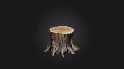 3D model Tree Stump Model VR / AR / low-poly