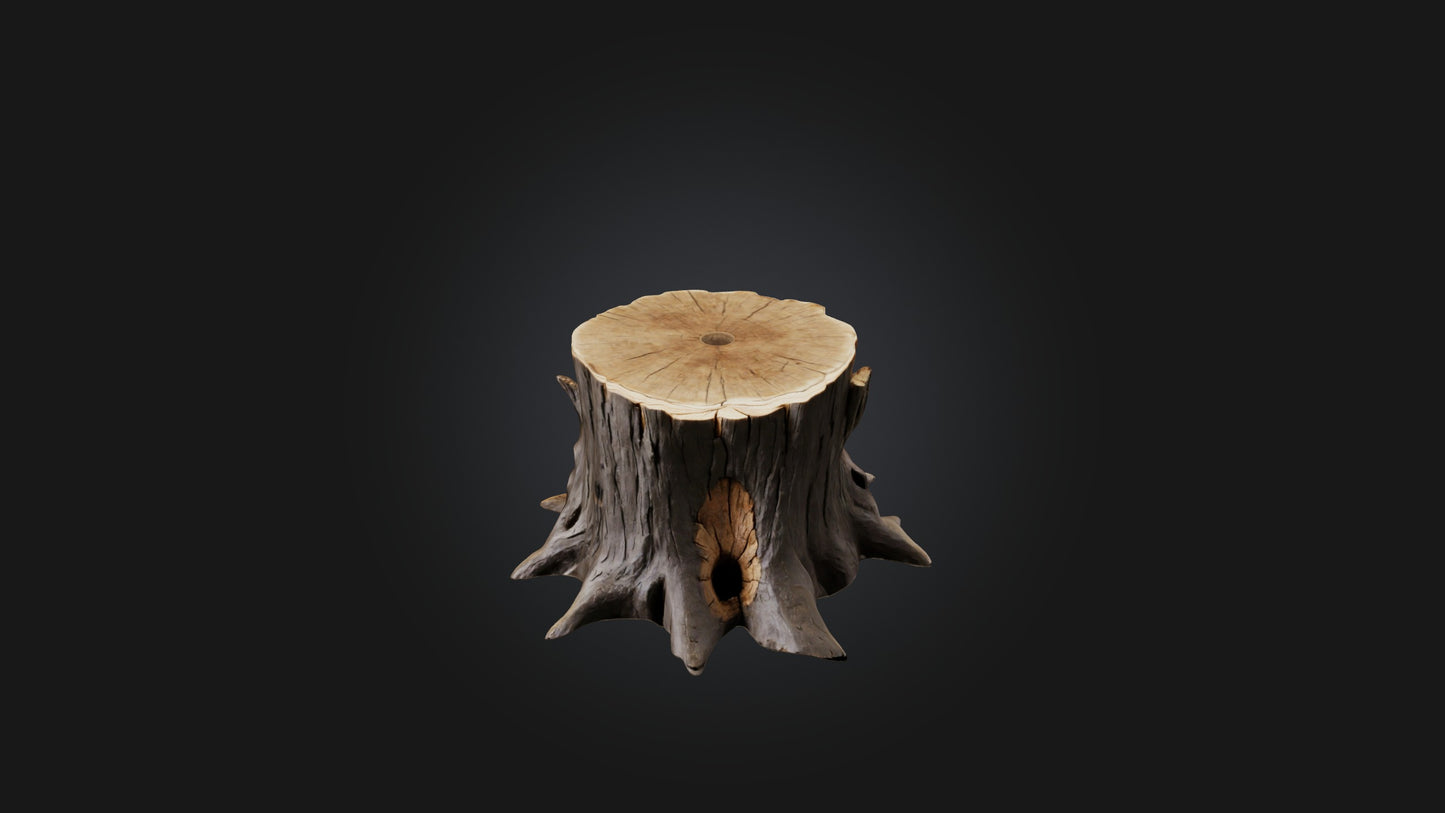3D model Tree Stump Model VR / AR / low-poly