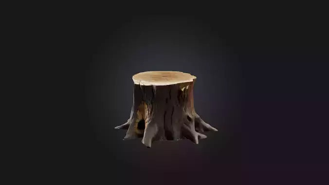 3D model Tree Stump Model VR / AR / low-poly