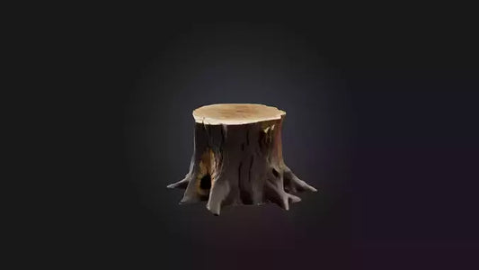 3D model Tree Stump Model VR / AR / low-poly