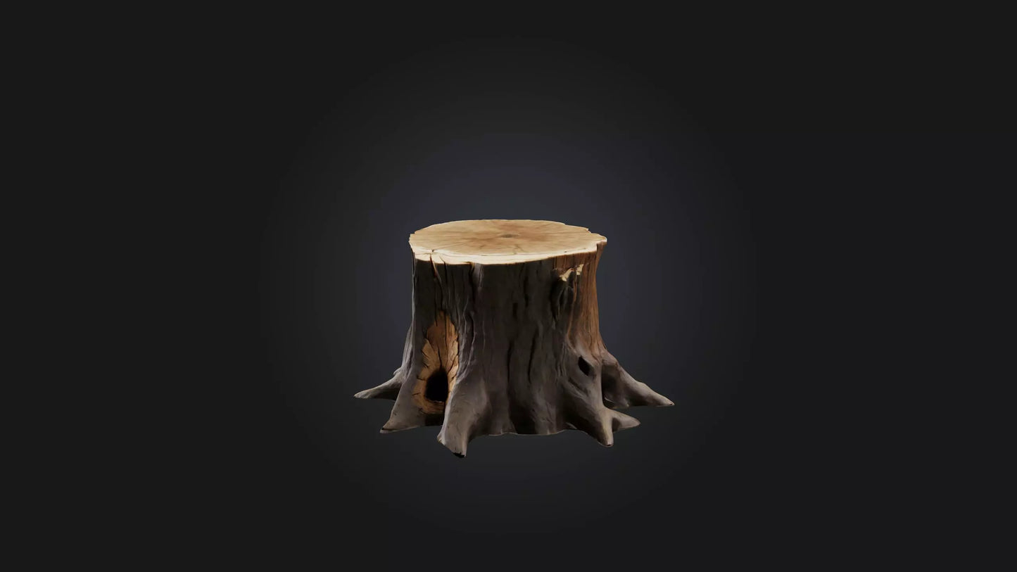 3D model Tree Stump Model VR / AR / low-poly