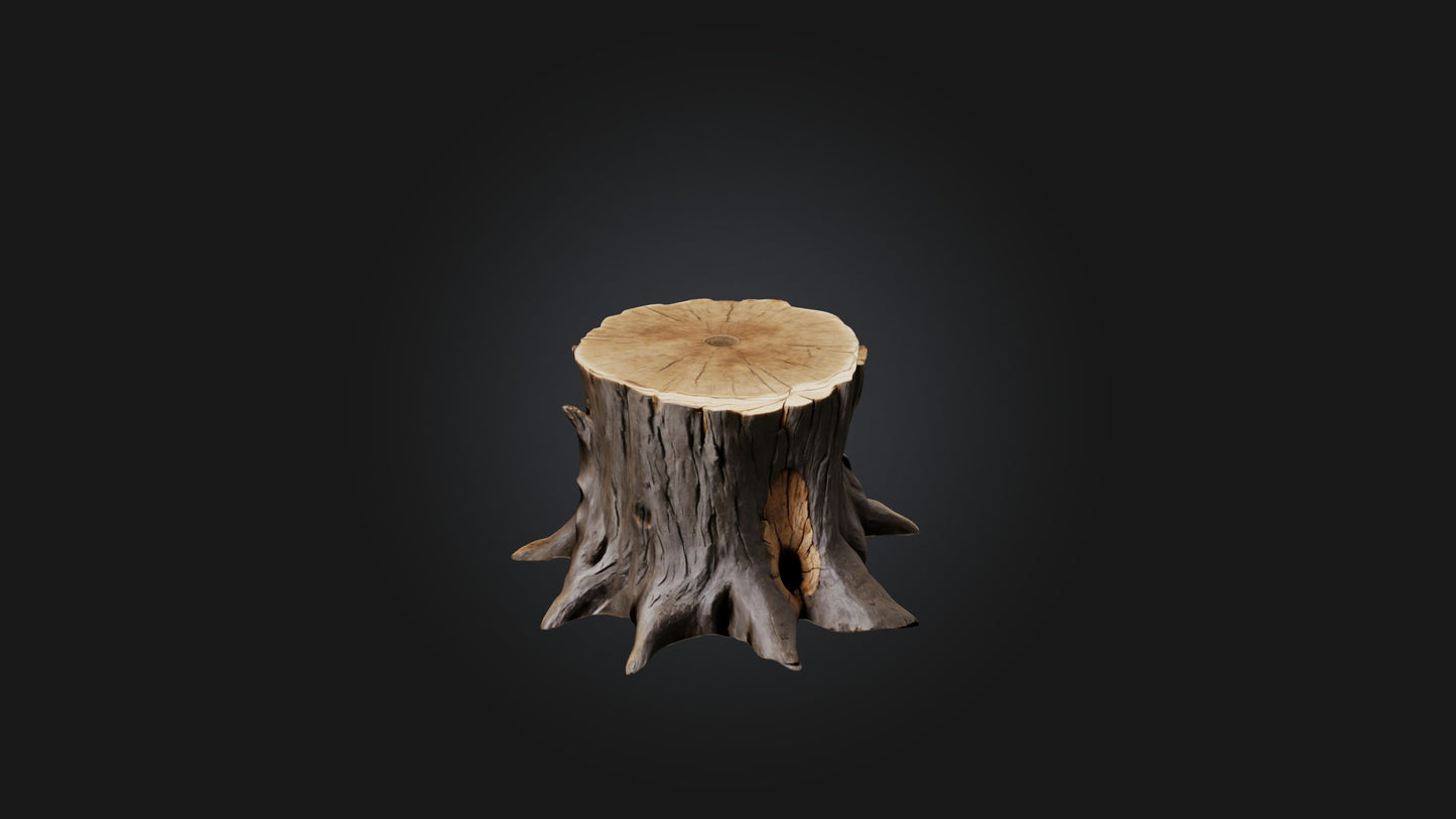 3D model Tree Stump Model VR / AR / low-poly