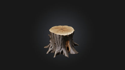 3D model Tree Stump Model VR / AR / low-poly