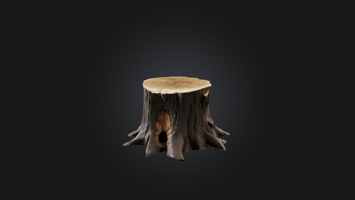 3D model Tree Stump Model VR / AR / low-poly
