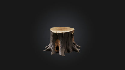 3D model Tree Stump Model VR / AR / low-poly