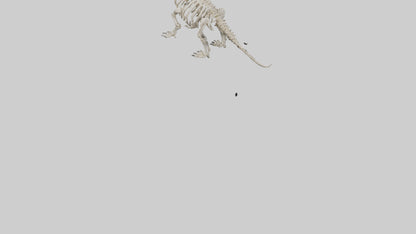 Triceratops Skeleton Model 3D model