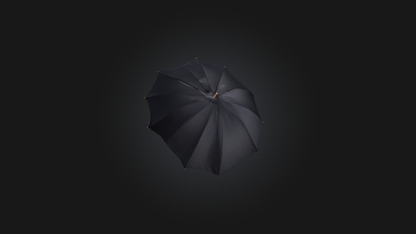 umbrella 3D model