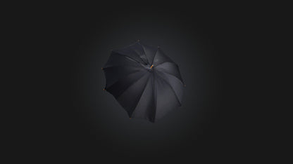 umbrella 3D model