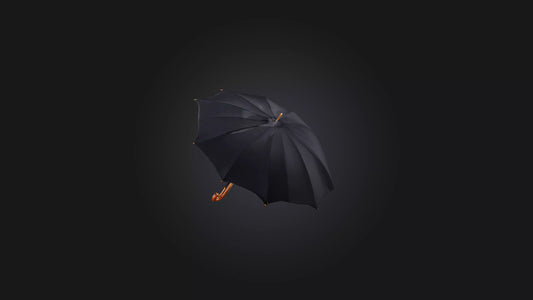 umbrella 3D model