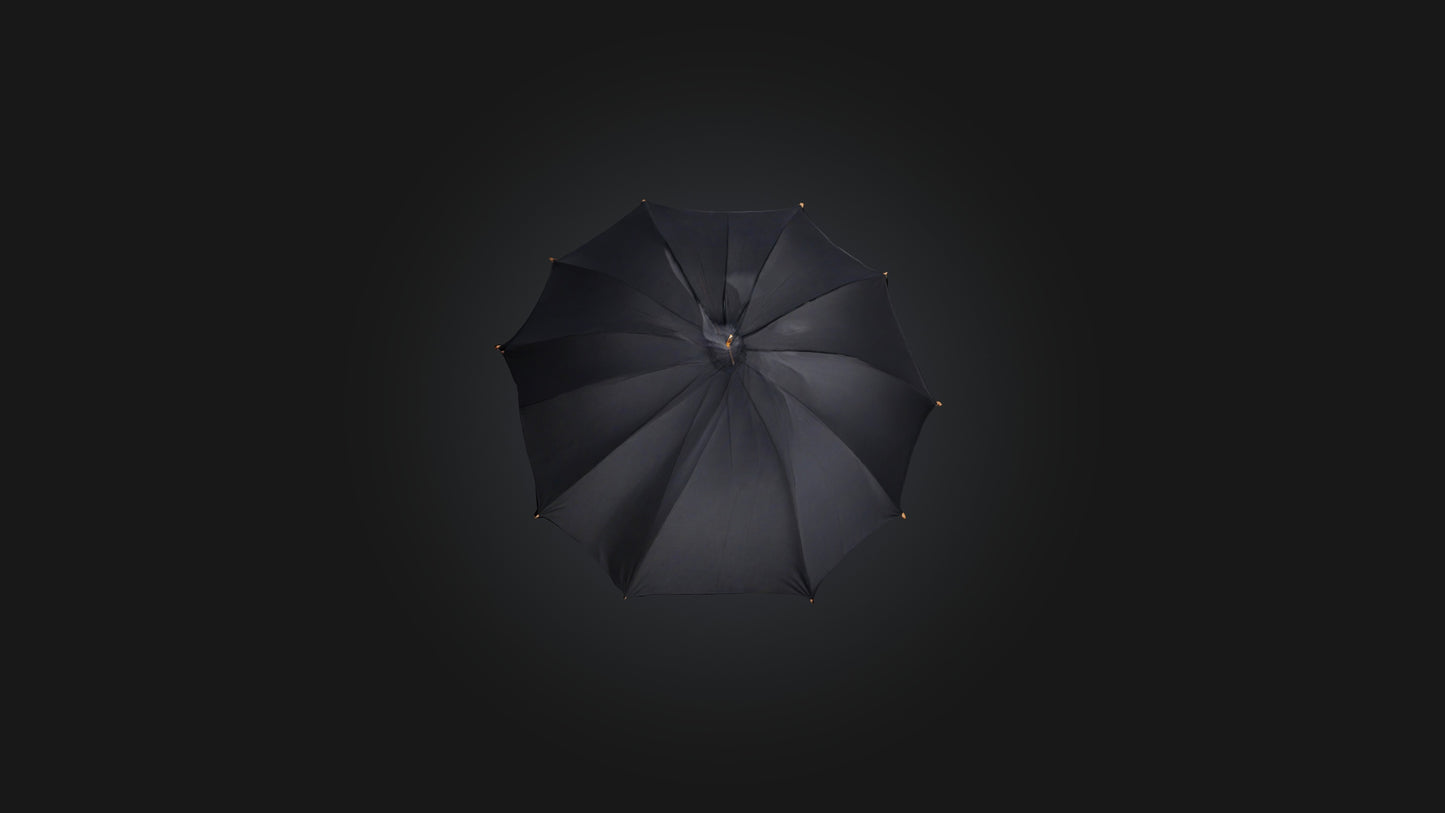 umbrella 3D model