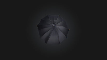 umbrella 3D model