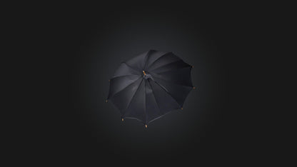 umbrella 3D model