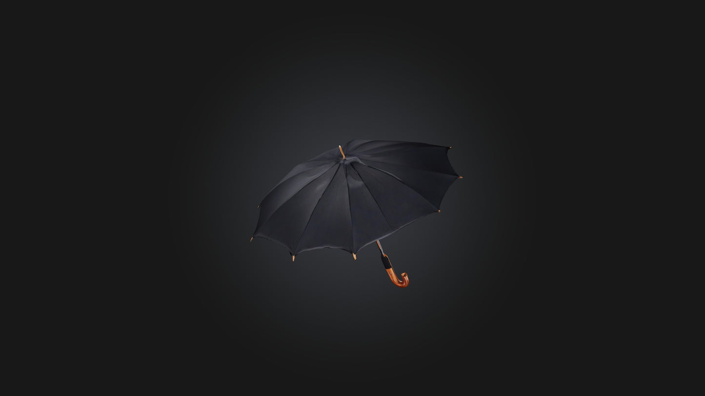 umbrella 3D model