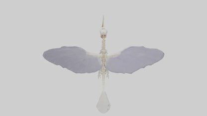 3D model ummingbird Skeleton model VR / AR / low-poly