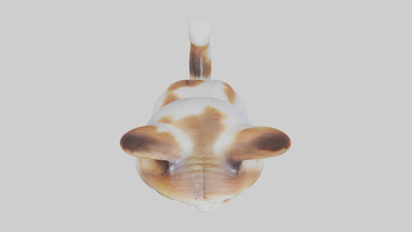 unchkin Cat statue model VR / AR / low-poly